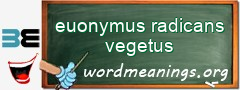 WordMeaning blackboard for euonymus radicans vegetus